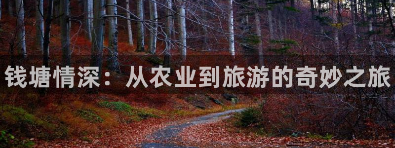 必一运动·(B-sports)