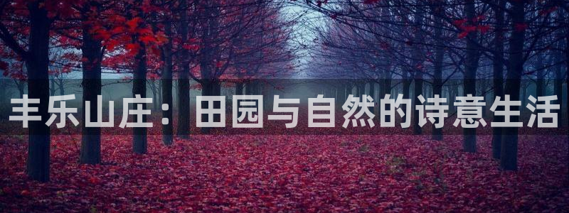 必一体育电子app