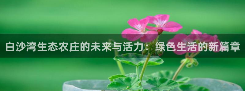 必一体育游戏特色