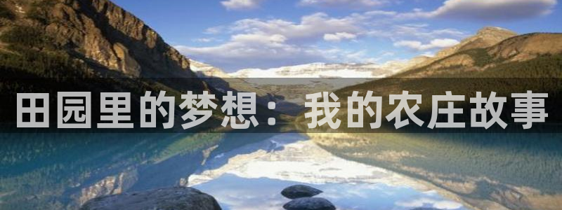 必一体育下载入口