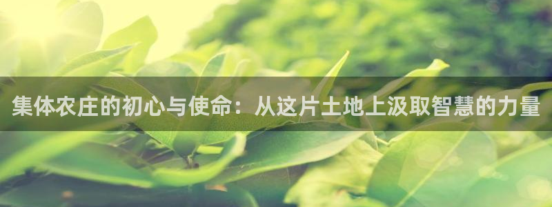 必一体育网页版登录