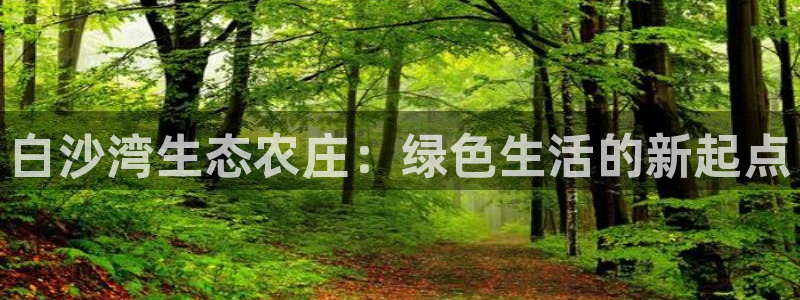 必一体育怎么下载