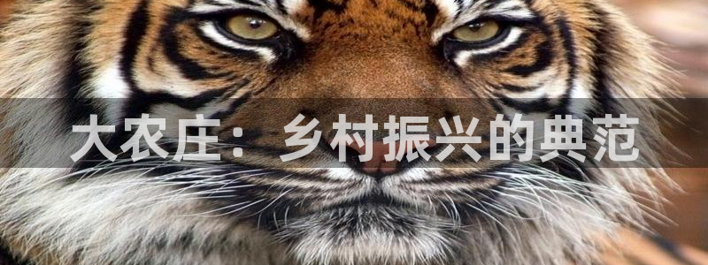 必一运动·(B-Sports)