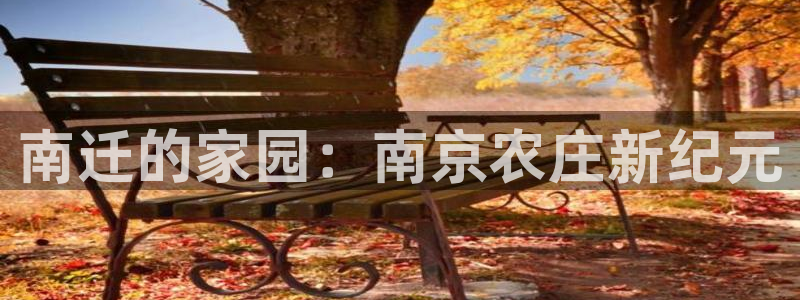 必一体育运动平台官网