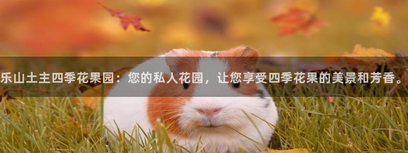 必一体育验证码