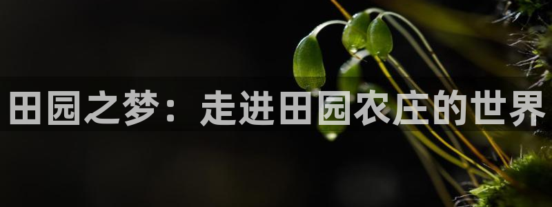 必一体育游戏特色