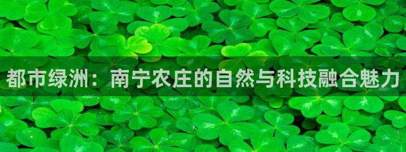 必一体育sport官网