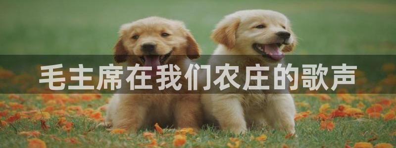 必一体育在线官网