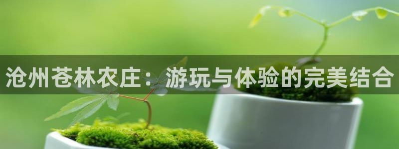 必一运动官网装机吧