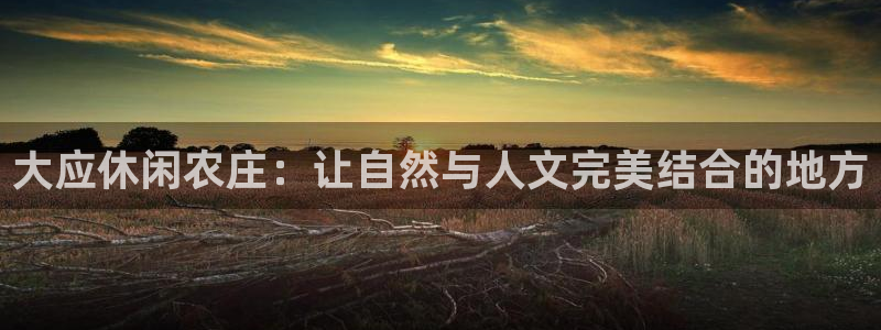 b体育必一运动网页版在线登录入口