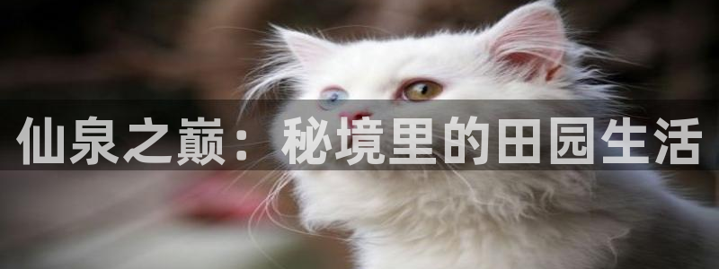 必一体育服下载最新版本更新内容