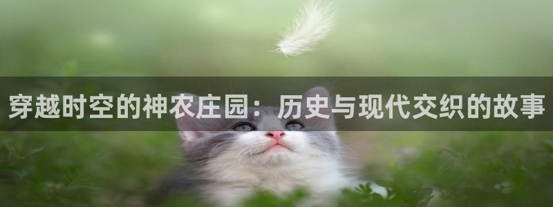 必一体育sportB体育