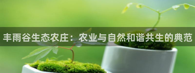 必一体育官方下载入口