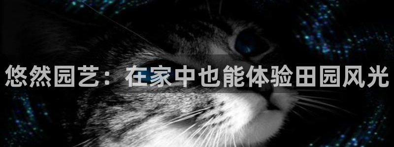 Bsport体育必一