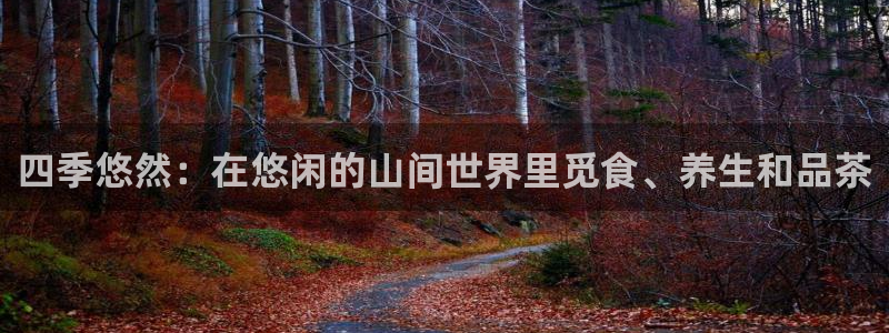 必一体育最新官网入口首页