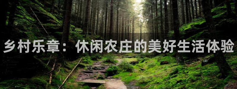 必一体育登录入口APP