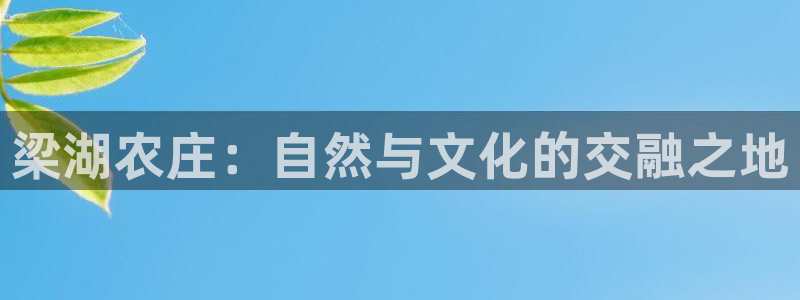 必一体育官方app下载