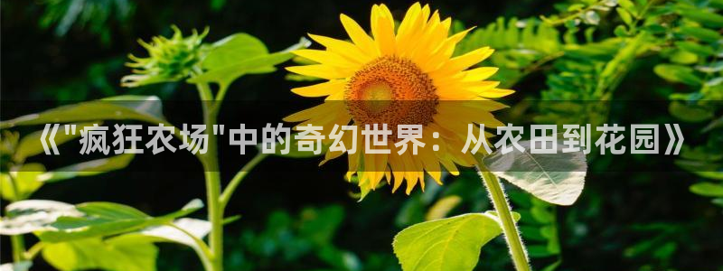 必一体育sport装机吧