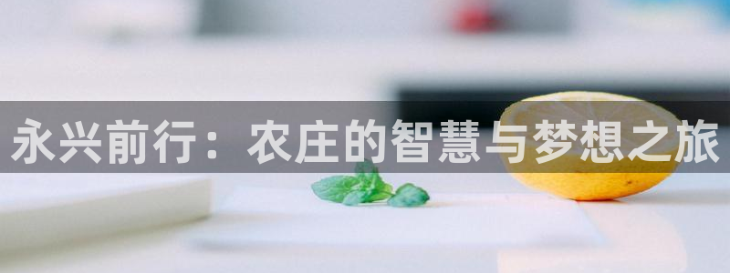 必一体育网页
