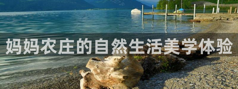 必一体育运动官网