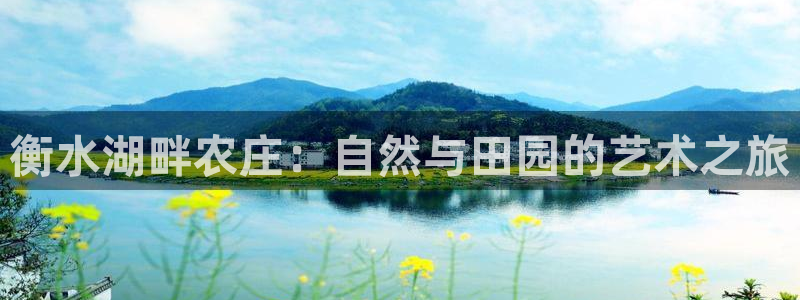 必一运动 b 体育素描版