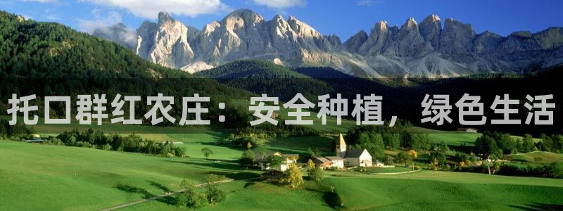 必一体育在哪下